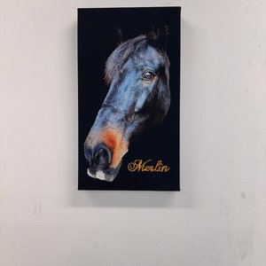 Personalized horse portrait, Personalised Horse portrait, Horse Owner Gift, Custom Horse Wall Canvas, Gift idea for horse lover, canvas