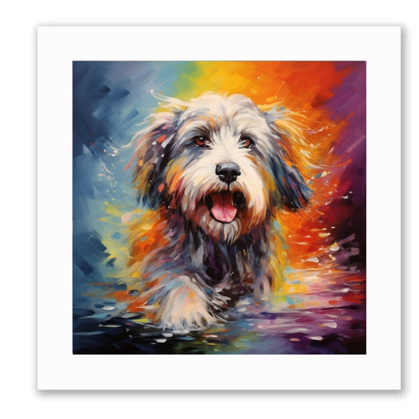 Bearded collie colourful print 10x10 inches framed (black or white wood)