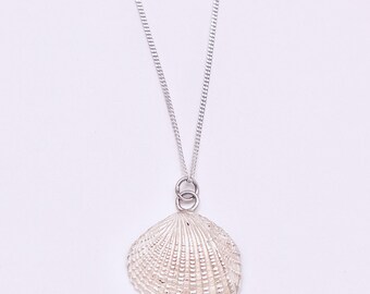 Silver Cockle shell necklace.