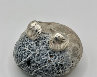 Silver scallop shell earings