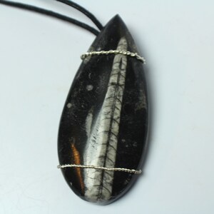 Orthoceras Fossil Silver Wire Wrap Crystal Necklace