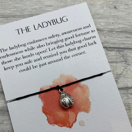 Ladybug Gift Ladybug Charm Ladybird Charm Bracelet Ladybug - Etsy Ireland Ladybug Gift Ladybug Charm Ladybird Charm Bracelet Ladybug - Etsy Ireland