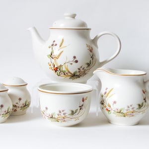 May include: A white teapot, creamer, sugar bowl, and two salt and pepper shakers with a floral pattern. The pattern features a variety of flowers, leaves, and berries in shades of red, green, and brown.