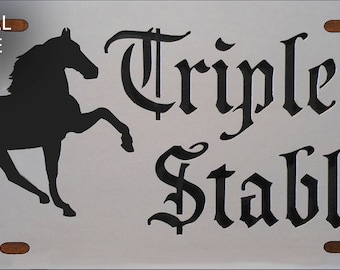 THE ORIGINAL LASERPLATE - Custom Personalized Front Vanity Plate - CustomPlatesandHitch.com