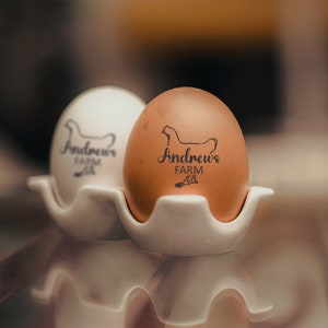 Custom chicken eggs stamp - 5 ink color - Ink-self or handle stamp - One inch size