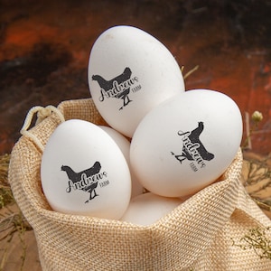 Custom chicken eggs stamp - 5 ink color - Ink-self or handle stamp - One inch size
