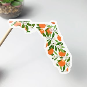 Autocollant Floride Autocollant Floride État Sunshine State Autocollant Oranges De Floride Fleur D'oranger Autocollant Floride Floride Fierté Résistant Aux Intempéries