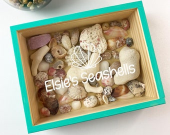 Personalized Shell Box Keepsake Seashell Box Vacation Honeymoon Wedding Engagement Shell Holder Sand Bottle Memory Seashell Box Shadowbox