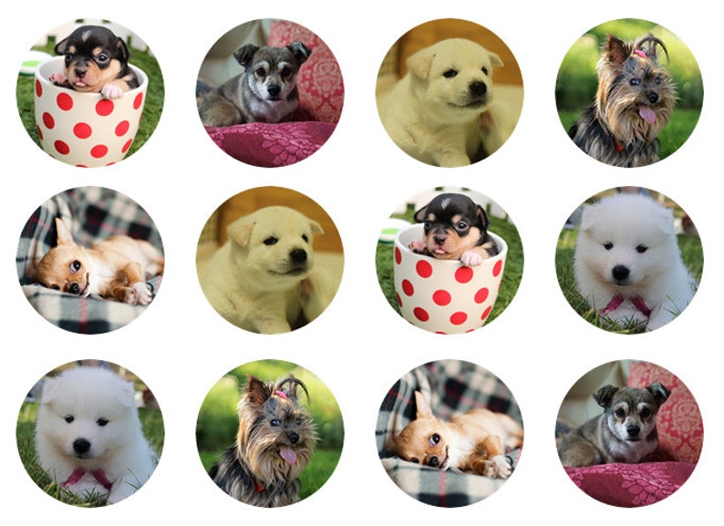 Dogs Edible Cupcake Toppers Etsy
