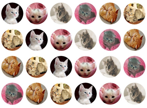 Kitten Cupcake Toppers Cat Edible Toppers Edible Prints | Etsy