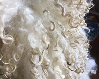 Leicester longwool locks