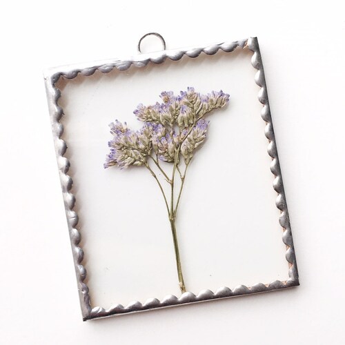 Glass Pressed Round Circle Flower Frame Gypsophila Babys Etsy