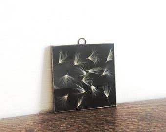 Black opaque glass pressed flower frame - Reapressed flowers - Dandelion seeds - Real flowers - Wall hanging