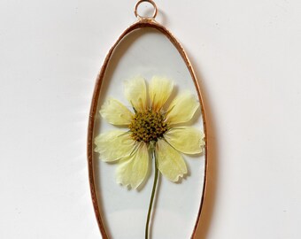 Handmade stained glass pressed flower arch frame - Cosmos and copy parsley