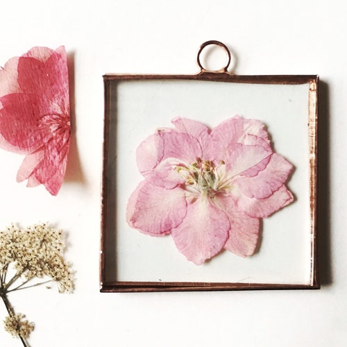 Glass Pressed Round Circle Flower Frame Gypsophila Babys Etsy