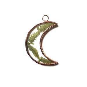 Glass pressed fern frame - Crescent moon - Ferns  - Wall hanging