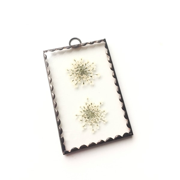 Hand made glass pressed flower frame - Rectangle - Scalloped edge - Cow parsley - Queen Annes lace - Wall hanging