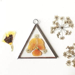 Glass pressed flower frame - triangle - orange viola & cow parsley - Wall hanging