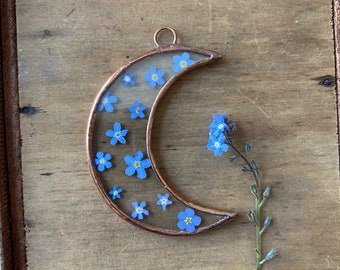 Glass pressed flower frame - Crescent moon - forget me not  - Wall hanging