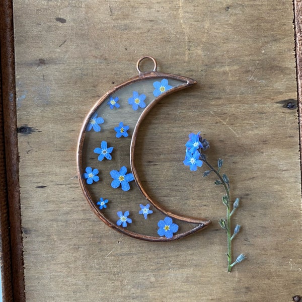 Glass pressed flower frame - Crescent moon - forget me not  - Wall hanging