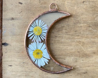 Handmade glass frame with pressed daisy flowers - Moon