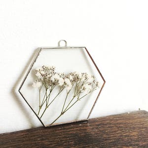 Glass pressed flower frame - Hexagon - Babies breath - Real flowers - Wall hanging