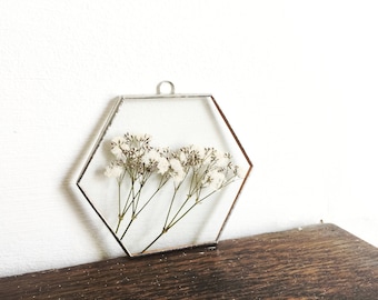 Glas gepresster Blumenrahmen - Hexagon - Babies Breath - Echte Blumen - Wandbehang