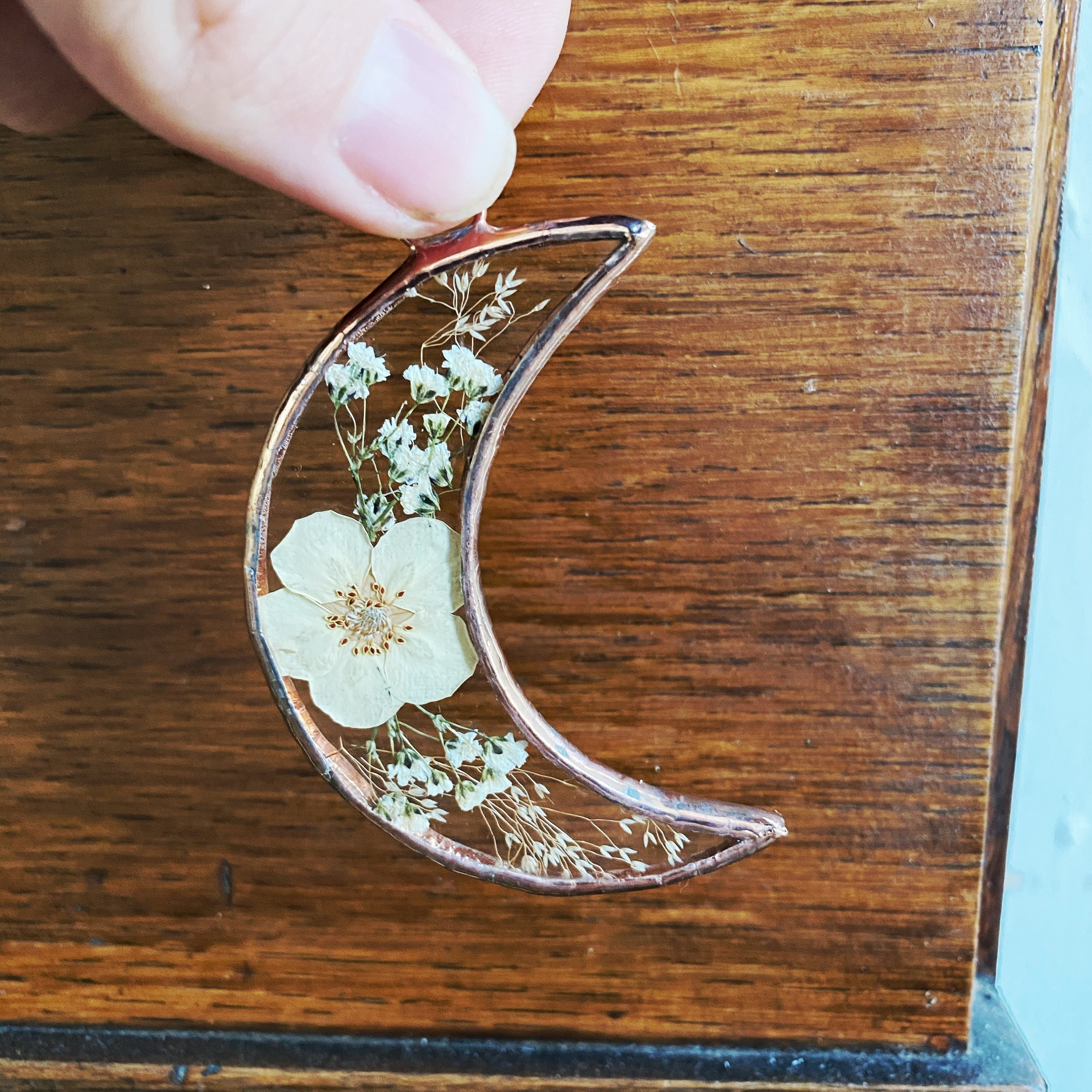 Cadre Pressé en Verre de Fougère - Croissant Lune Souffle Bébés Pendaison Mur