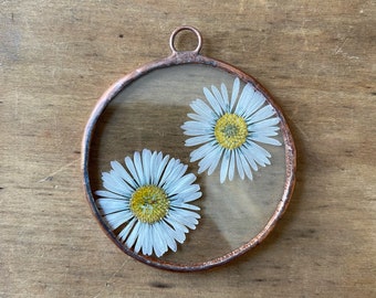 Glass pressed round circle flower frame - daisy  - Wall hanging