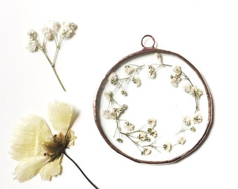 Glass pressed round circle flower frame - Gypsophila - baby’s breath - Wall hanging
