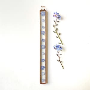 Handmade glass frame with pressed forget me not flowers - Very small thin *please check measurements before purchasing*