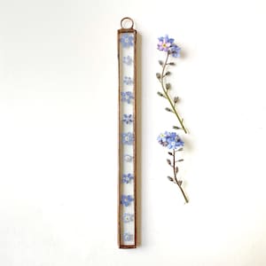 Cadre en verre fait main avec fleurs myosotis pressées - Très petit format fin *Veuillez vérifier les mesures avant d'acheter*