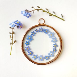 Glass pressed round circle flower frame - Forget me not - blue - Wall hanging