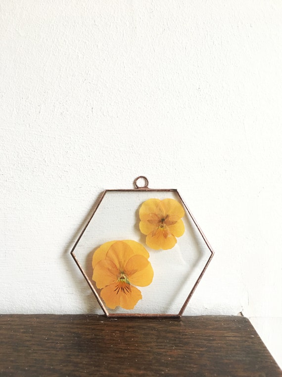Flower frames with pressed violas