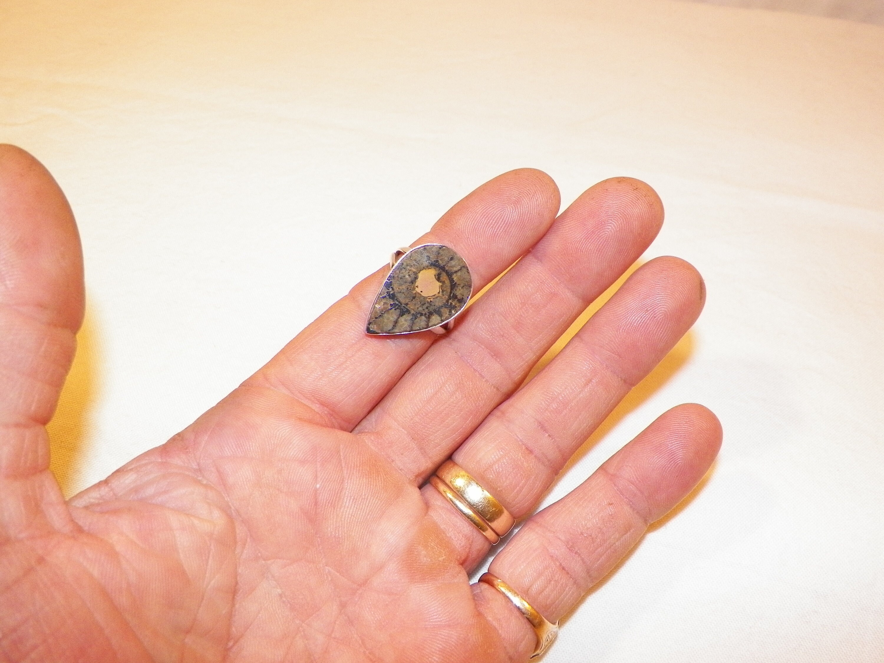 Size 7.5 Sterling Silver Fossil Ring Solid 925 Quality Ring - Etsy