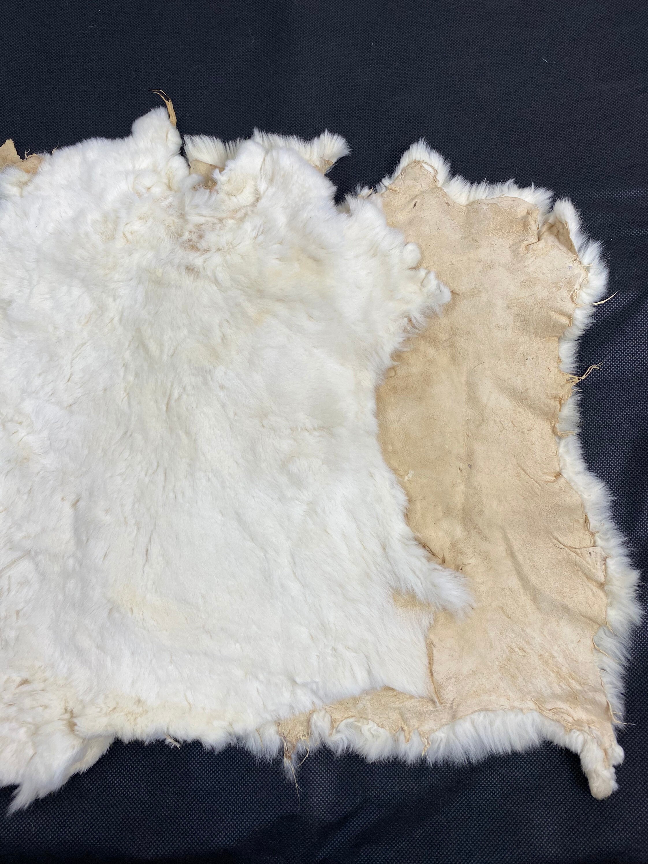 Wool Rabbit Sheared Sheared off White Rabbit Fur Skin: Craft Material (30x20 Aprox) - Etsy