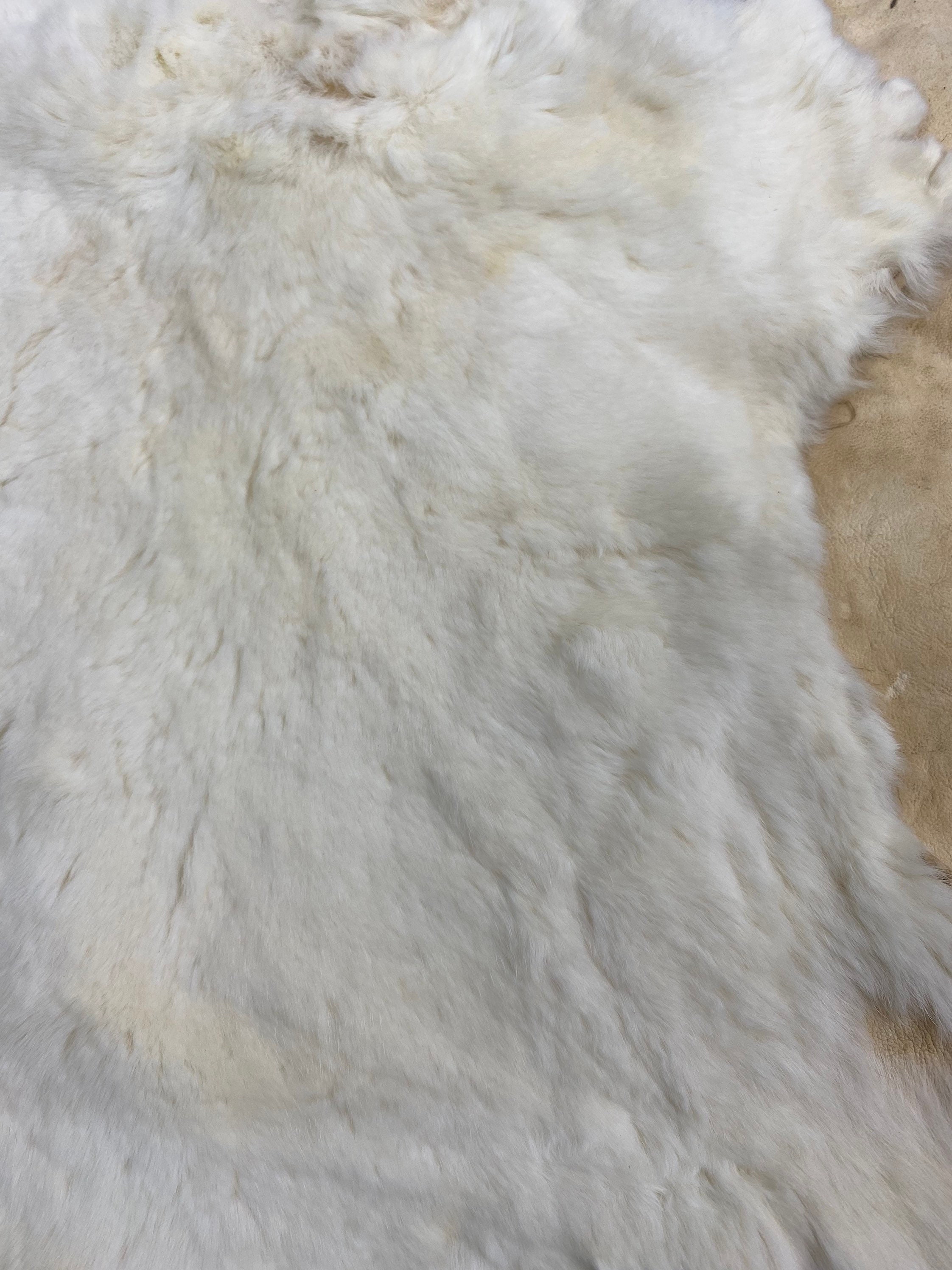 Wool Rabbit Sheared Sheared off White Rabbit Fur Skin: Craft Material (30x20 Aprox) - Etsy