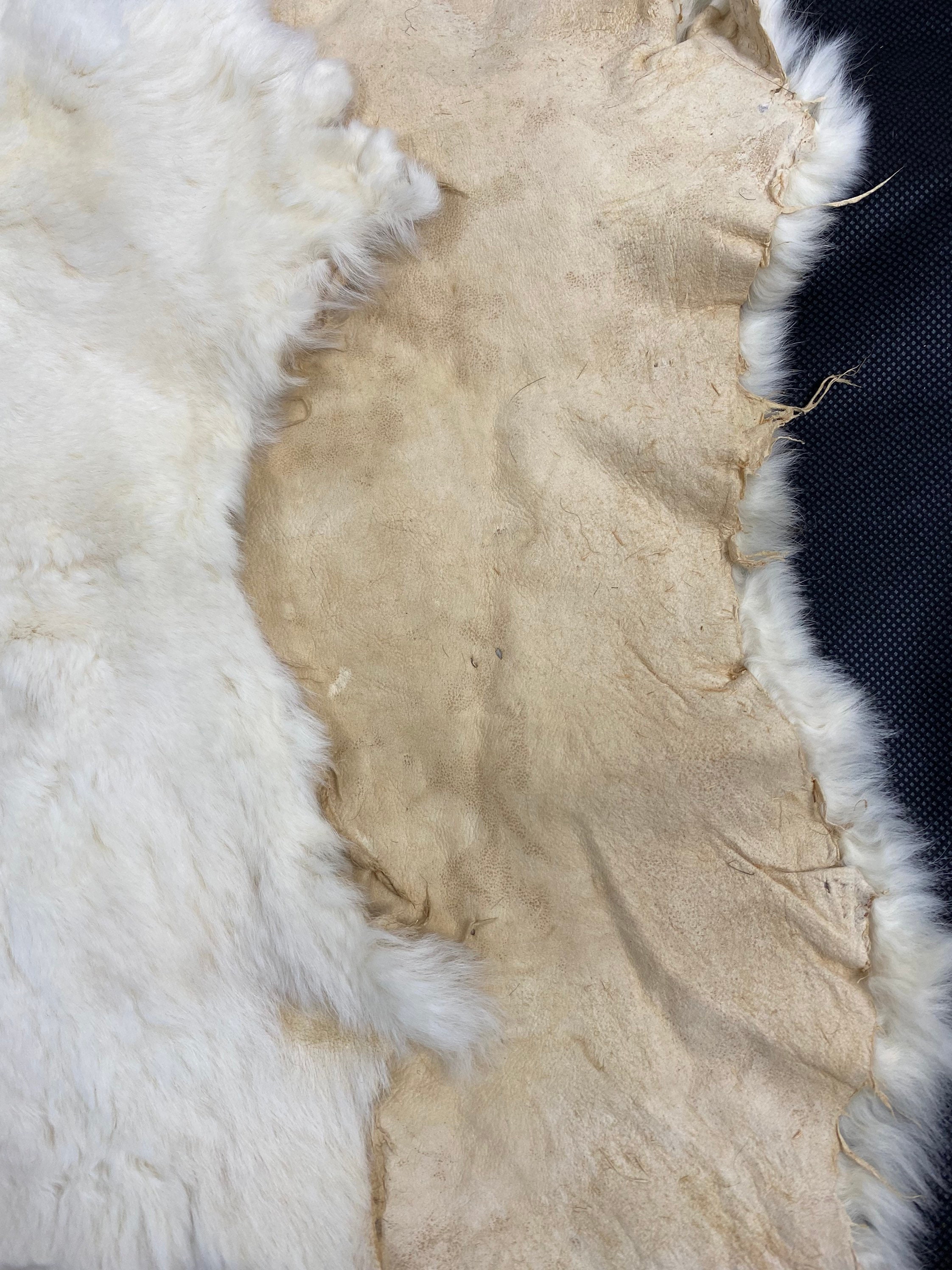 Wool Rabbit Sheared Sheared off White Rabbit Fur Skin: Craft Material (30x20 Aprox) - Etsy