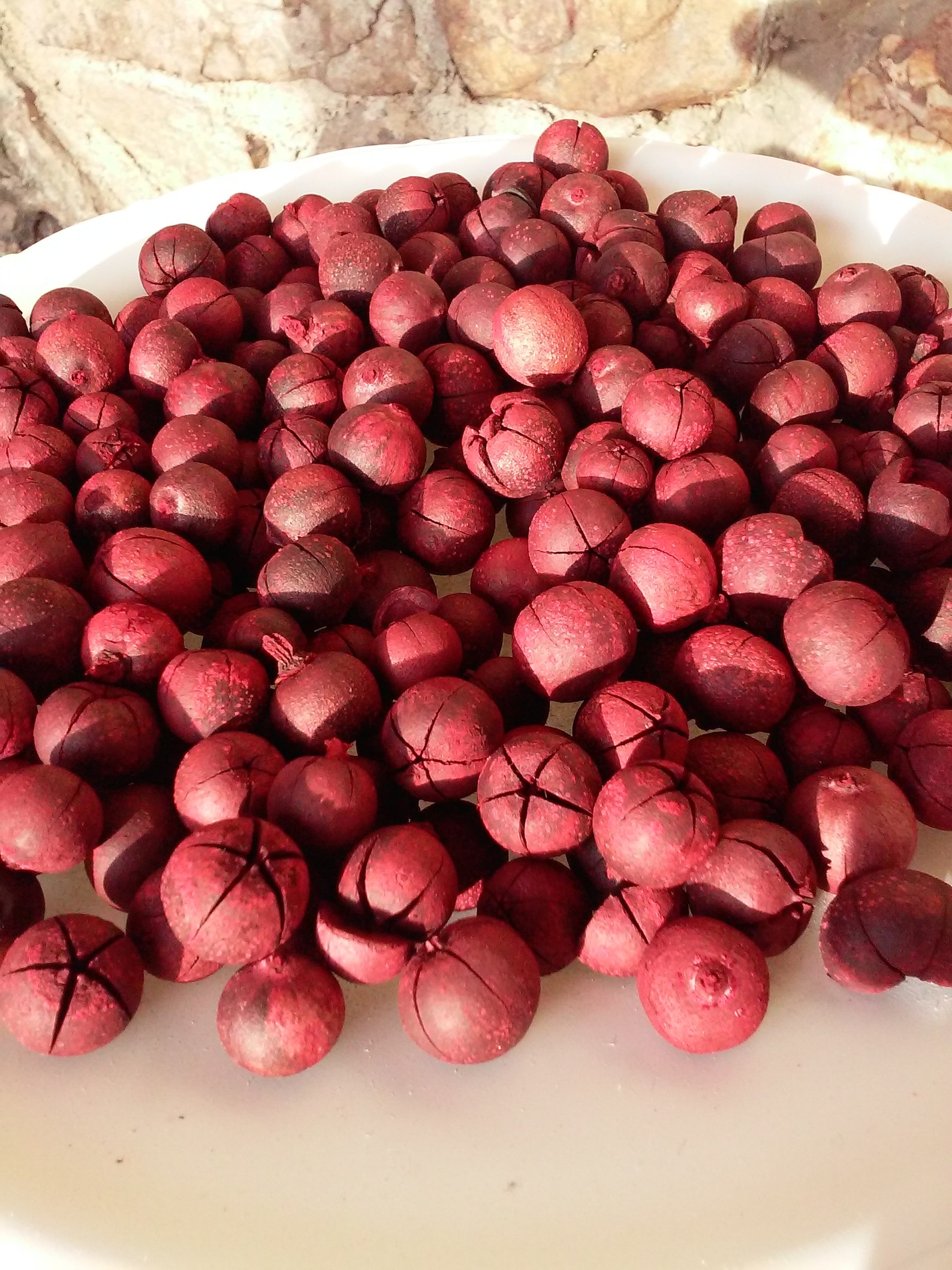 Scented Hips & Fixins Potpourri, Bowl Fillers, Farmhouse Decor, Rustic