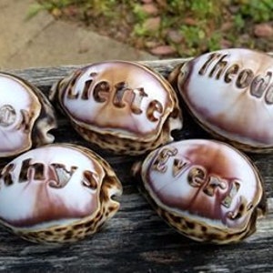 May include: Five seashells with the names "Lemnox", "Liette", "Theodore", "Rhys", and "Everly" engraved on them.
