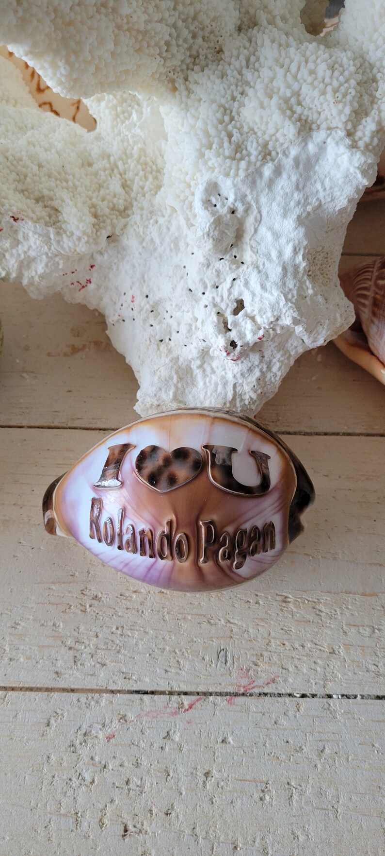 Personalized I Love You Engraved on a Tiger Cowrie Seashell Guaranteed ...