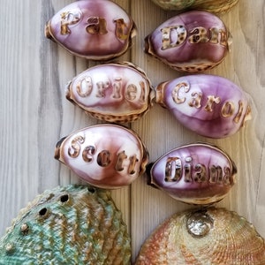 May include: A collection of eight seashells with names engraved on them. The shells are a variety of colors, including brown, purple, green, and white. The names on the shells are Pat, Dan, Oriel, Carol, Scott, Diana, and two other names that are not visible in the image.