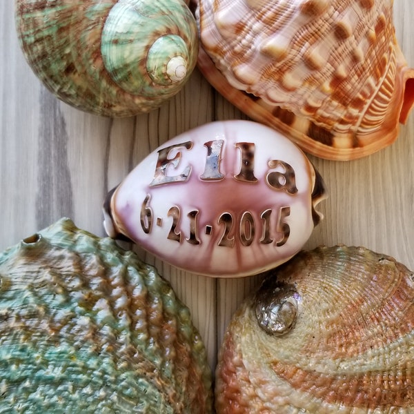 Engraved Shell - Etsy
