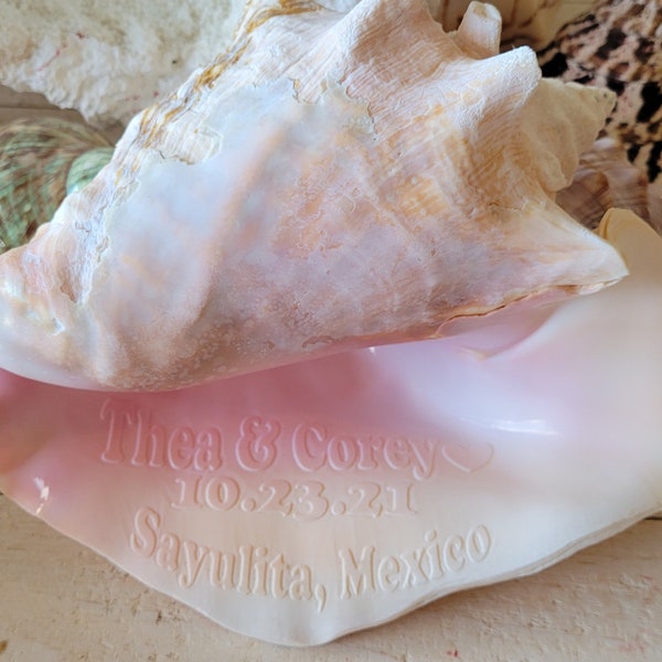 Engraved Shell - Etsy