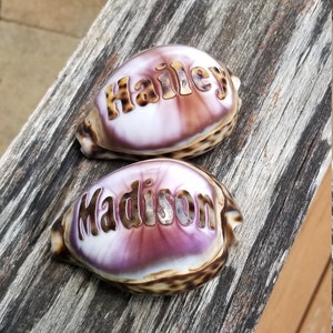 Custom Engraved Names on A Seashell Guaranteed to Put Smiles on Faces ...