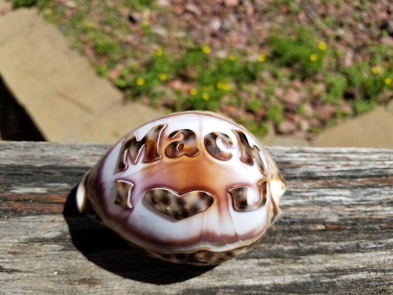 Personalized I Love You Engraved on a Tiger Cowrie Seashell Guaranteed ...