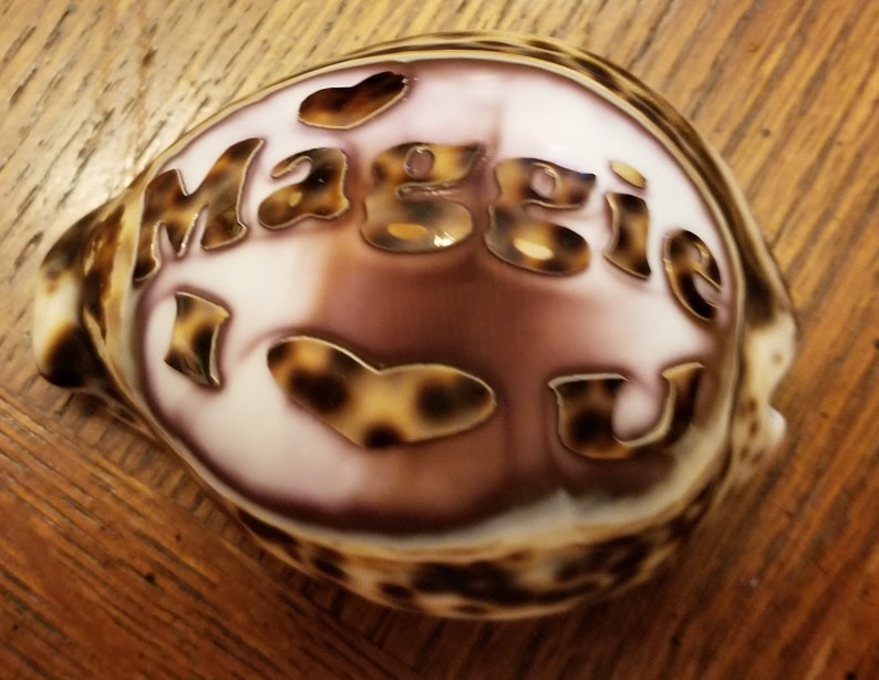 Personalized I Love You Engraved on a Tiger Cowrie Seashell Guaranteed ...