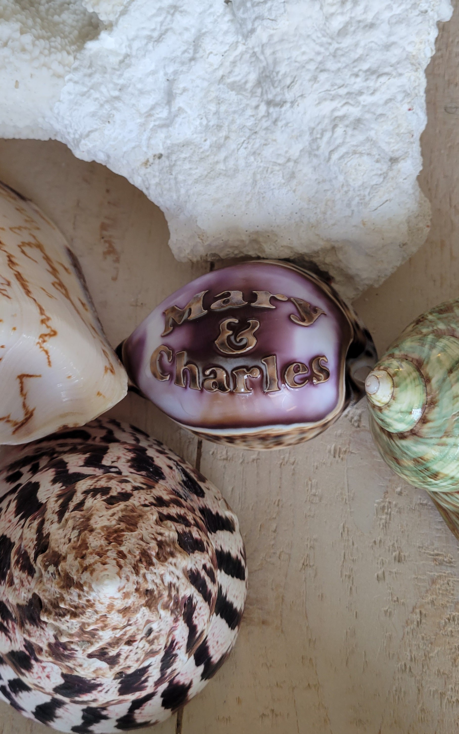Personalized Two Line Engraved Seashell Guaranteed to Put Smiles on ...