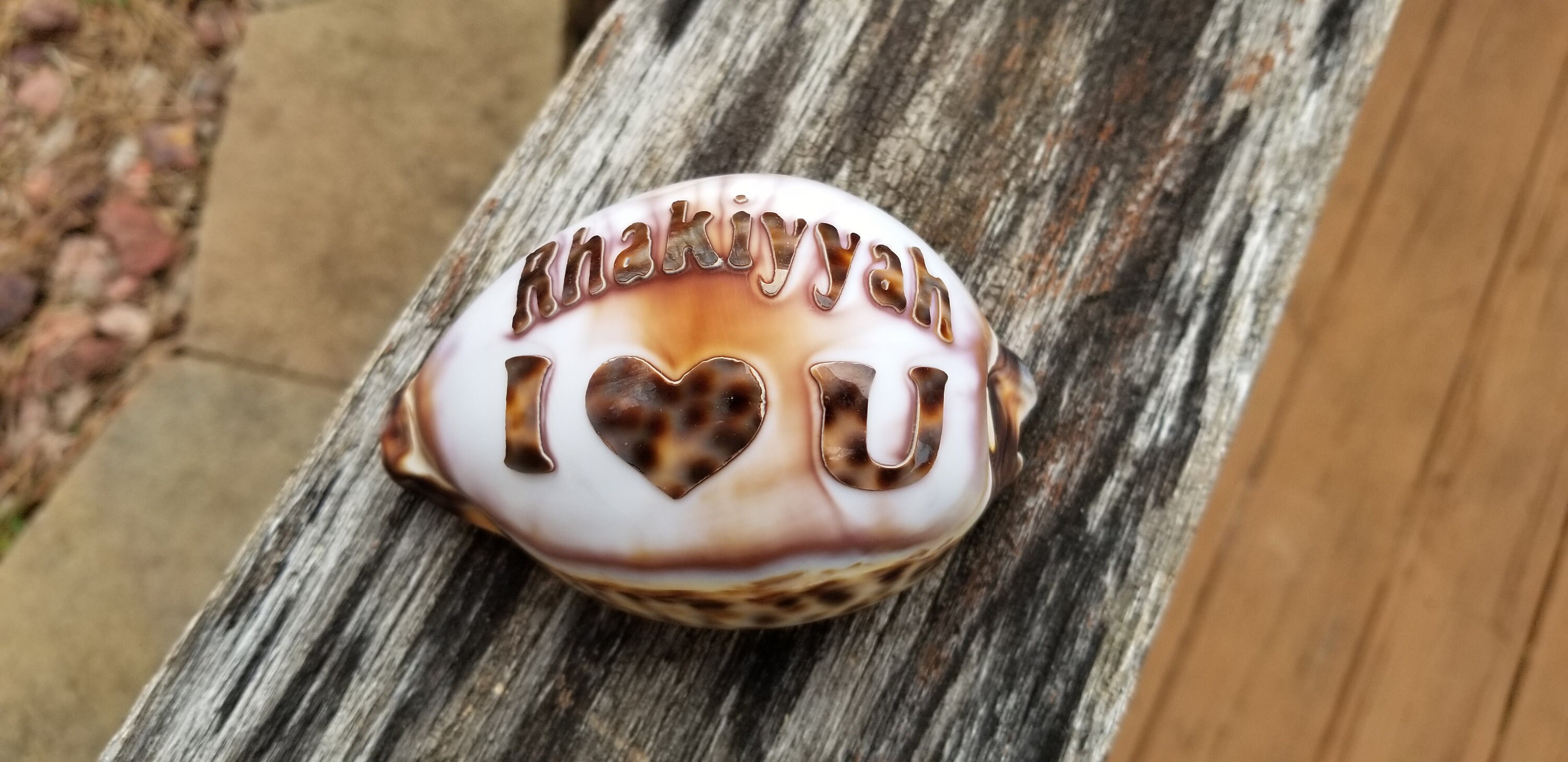 Personalized I Love You Engraved on a Tiger Cowrie Seashell Guaranteed ...