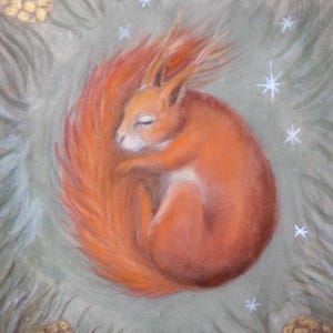 Tarjetas de felicitación de ardilla en acuarela – Tarjetas de arte animal